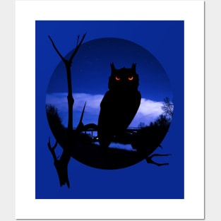 Night owl Posters and Art
